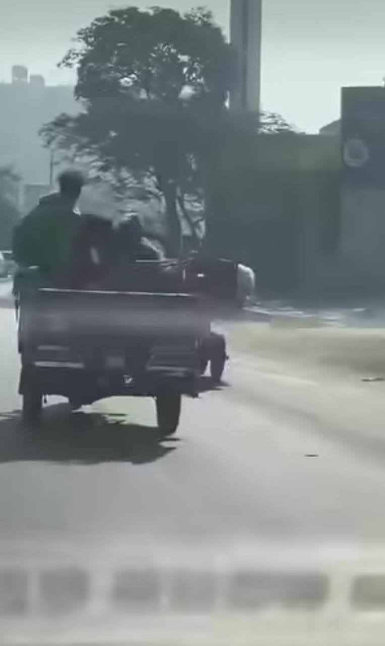 الأمن يفحص فيديو متداول عن سرقة حديد من كوبري بطرة