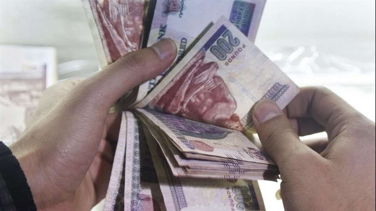 صرف معاشات فبراير 2026