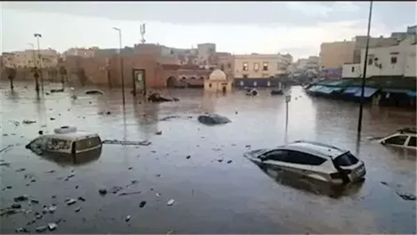<strong>العاصفة هاري</strong>
