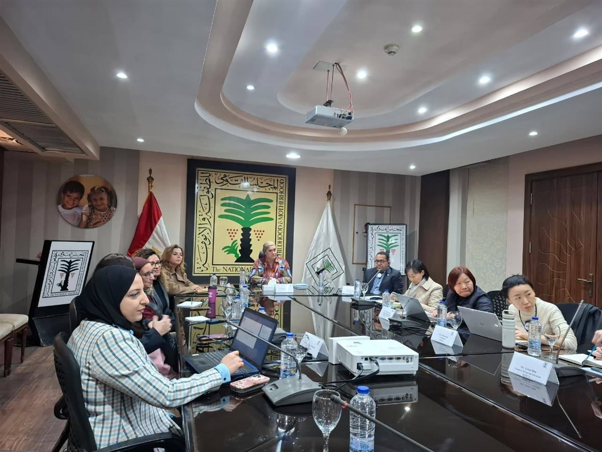 المجلس القومي للطفولة والأمومة