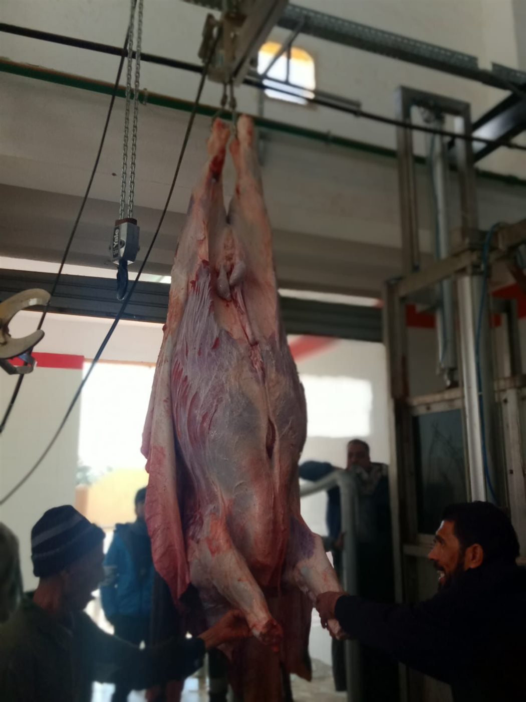 مجزر مدينة الخارجة&nbsp;