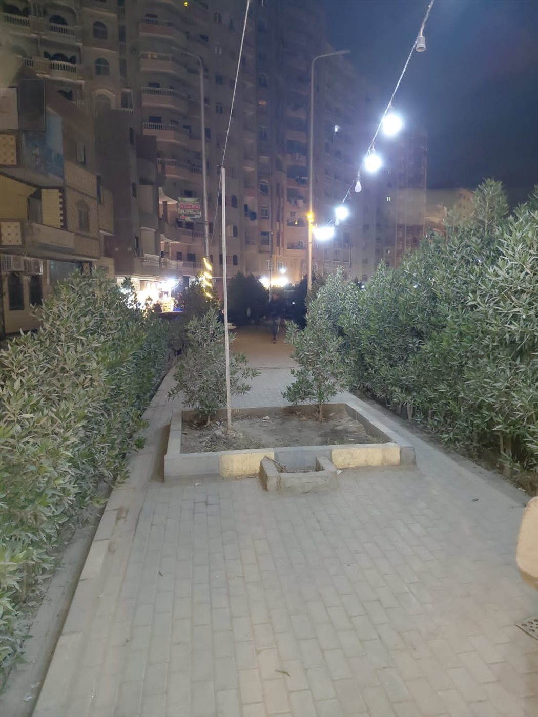 حملات مكبرة للنظافة ورفع الإشغالات بشوارع وأحياء مدينة الفيوم&nbsp;