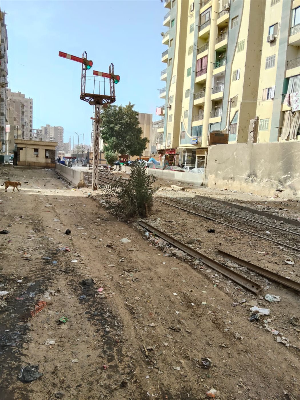 استمرار الحملات المكبرة للنظافة ورفع الإشغالات بميادين وشوارع مدينة الفيوم&nbsp;