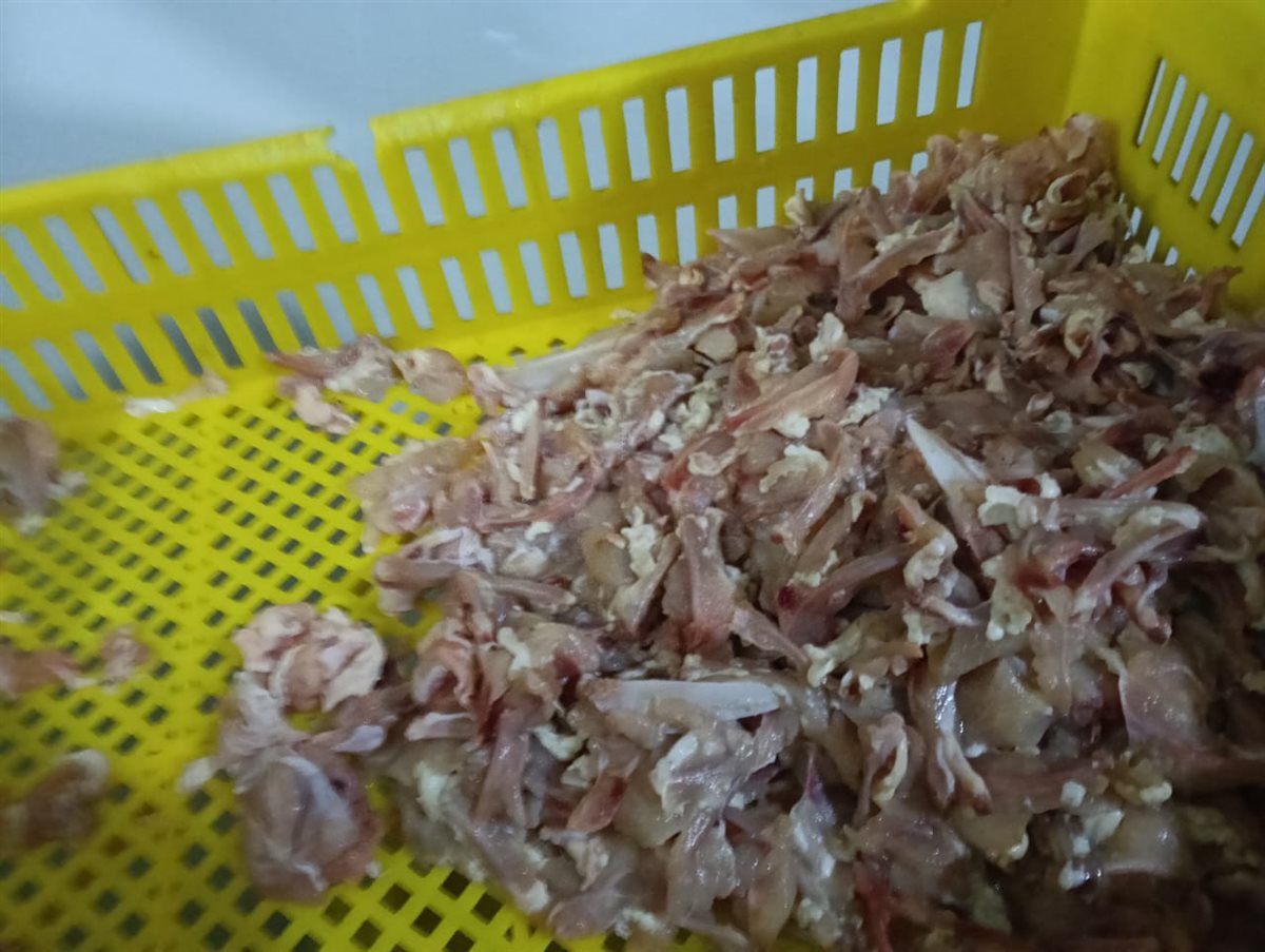 تكثيف حملات الطب البيطري على المجازر والأسواق وأماكن عرض وبيع اللحوم والدواجن والأسماك