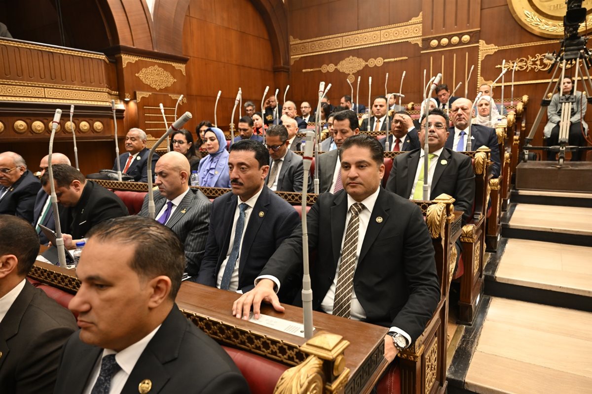 جانب من مناقشة المشروع بمجلس الشيوخ