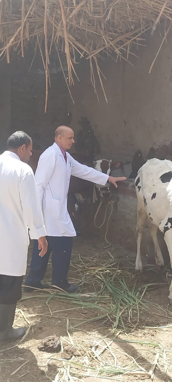 جانب من الحملة