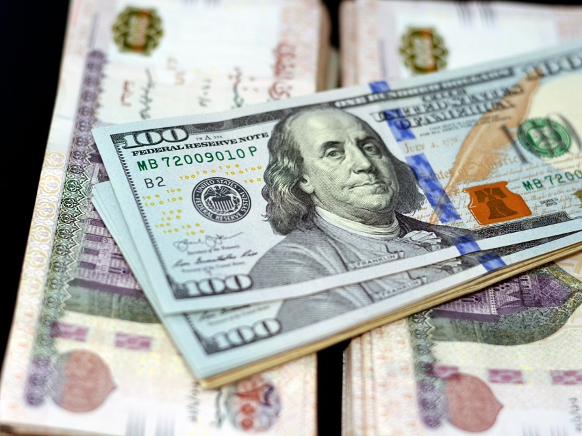 <strong>سعر الدولار اليوم</strong>