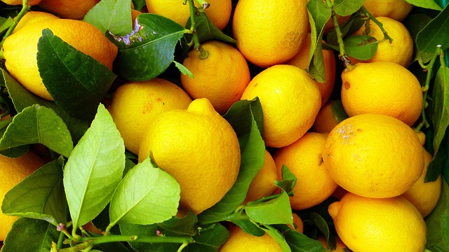 فوائد الليمون في علاج الصلع