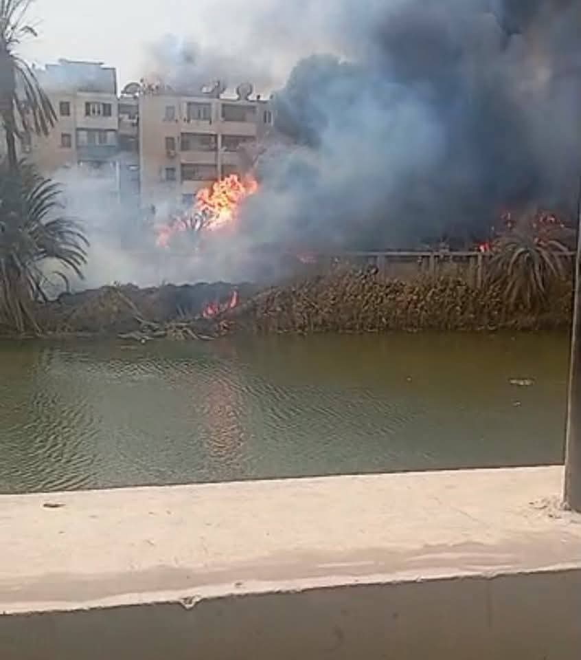الحماية المدنية تسيطر على الحريق