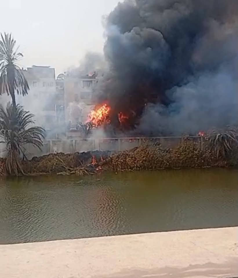 الحماية المدنية تسيطر على الحريق