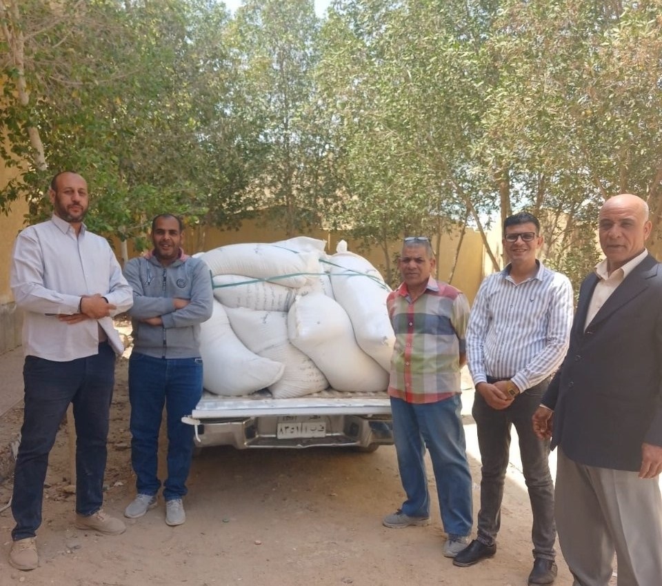 المضبوطات