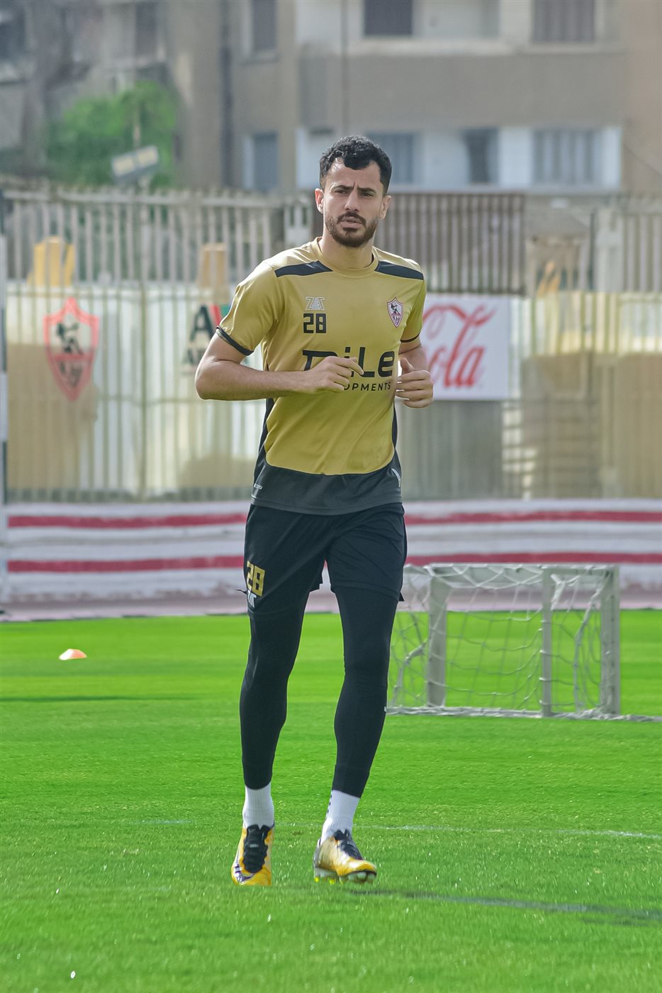 محمود حمدي الونش