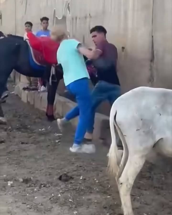 السائحة تشابك مع الشاب