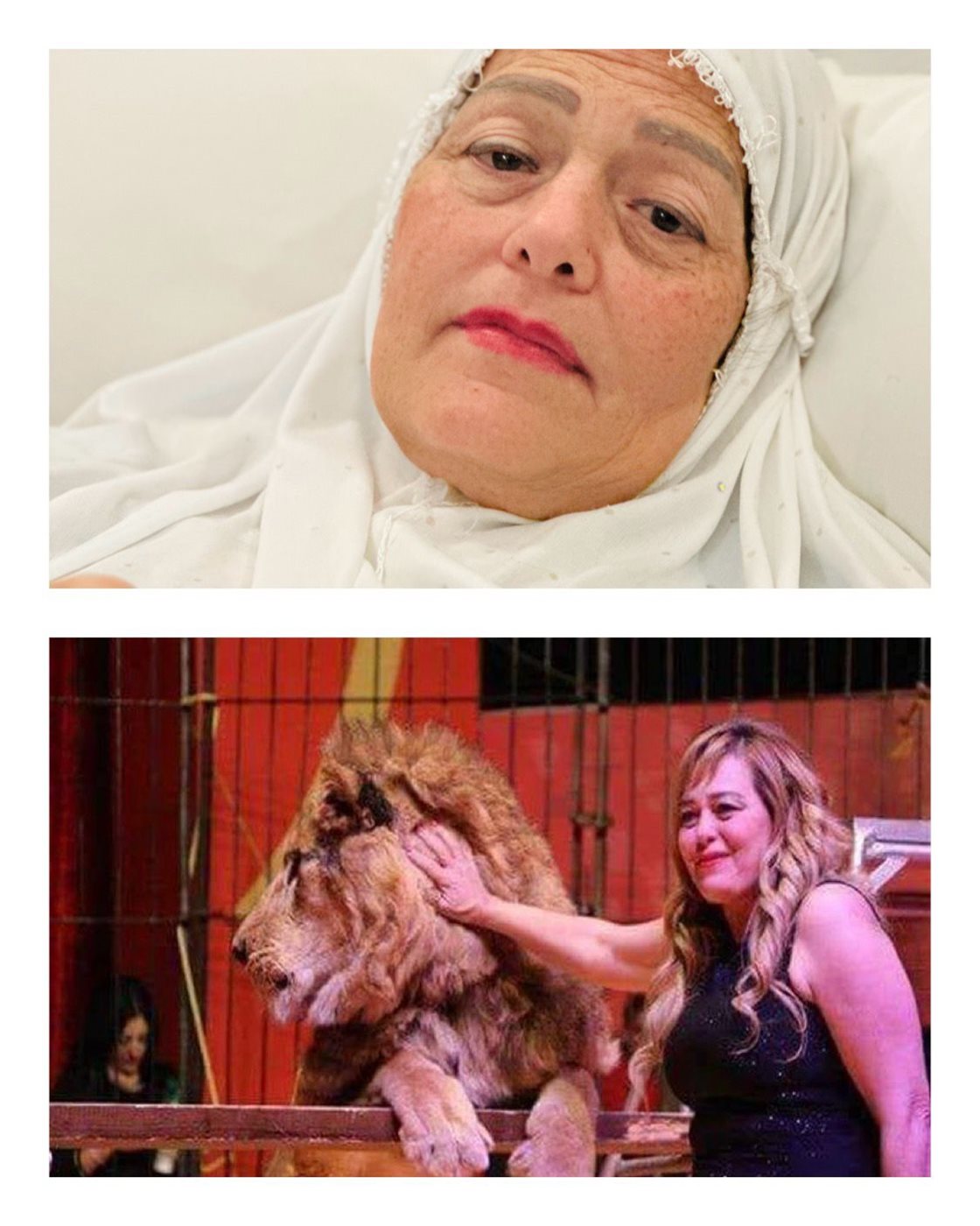 فاتن الحلو&nbsp;
