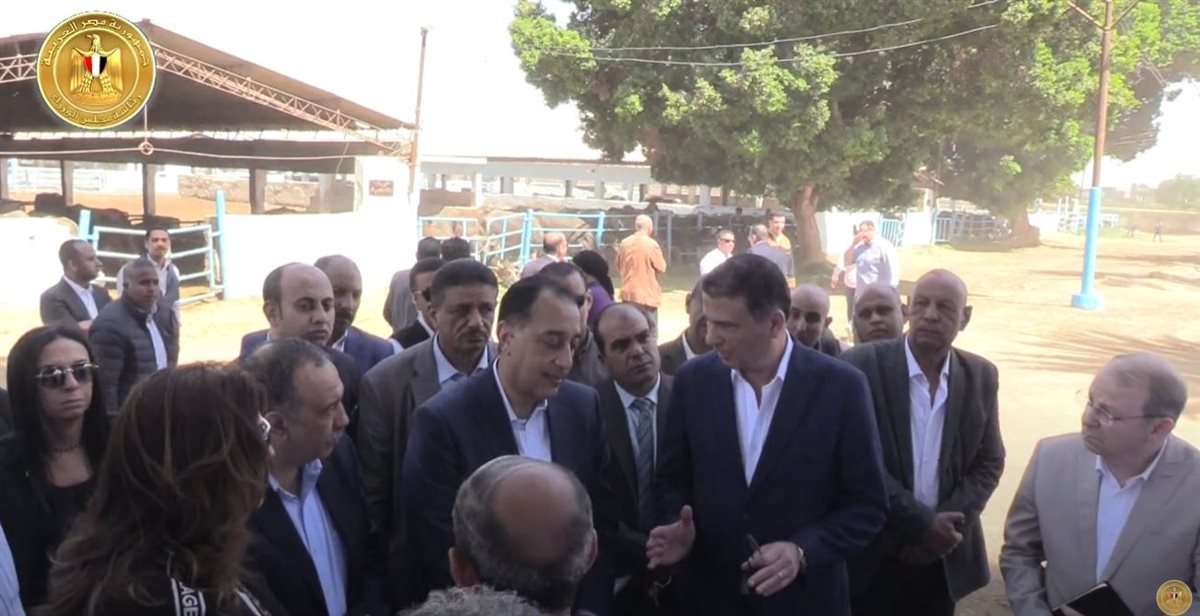 جولة رئيس الوزراء