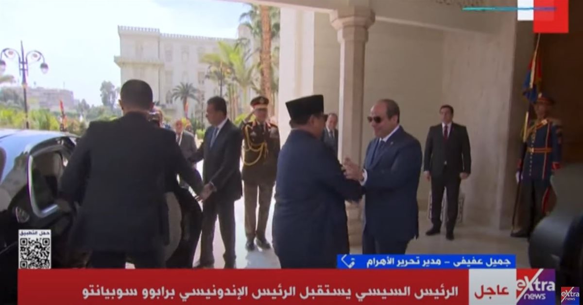 الرئيس السيسي ونظيرة الأندونيسي