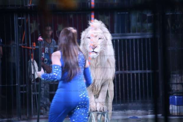 الفنانة فاتن الحلو