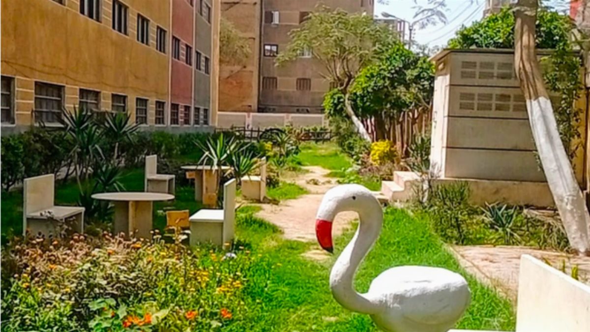 تعليم الفيوم يحصد المركز الخامس جمهوريًا في مسابقة المدرسة الخضراء&nbsp;