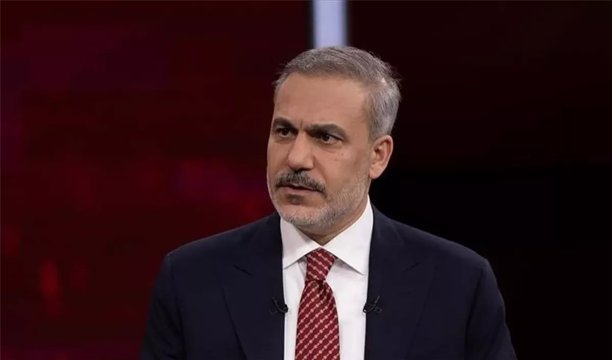 <strong>وزير الخارجية التركي</strong>