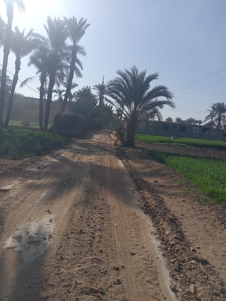 حملات للنظافة وصيانة الإنارة وتمهيد الطرق بمركز ومدينة يوسف الصديق بالفيوم&nbsp;