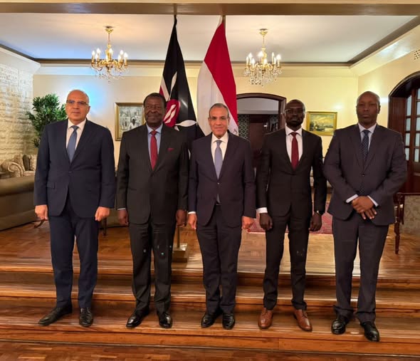 <strong>مصر وكينيا تعززان التعاون الاقتصادي والتنموي</strong>