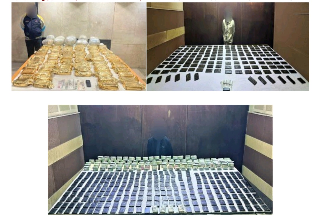 المضبوطات