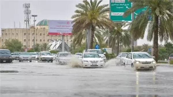<strong>طقس السعودية اليوم</strong>