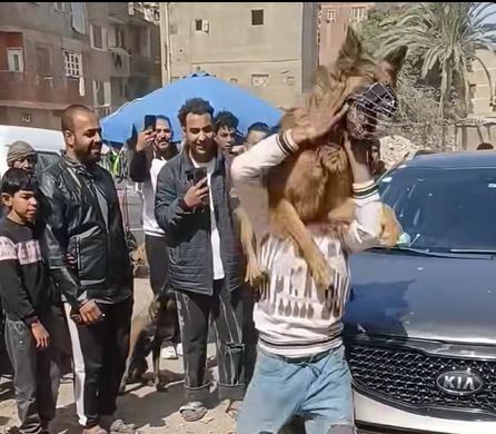 جانب من الفيديو