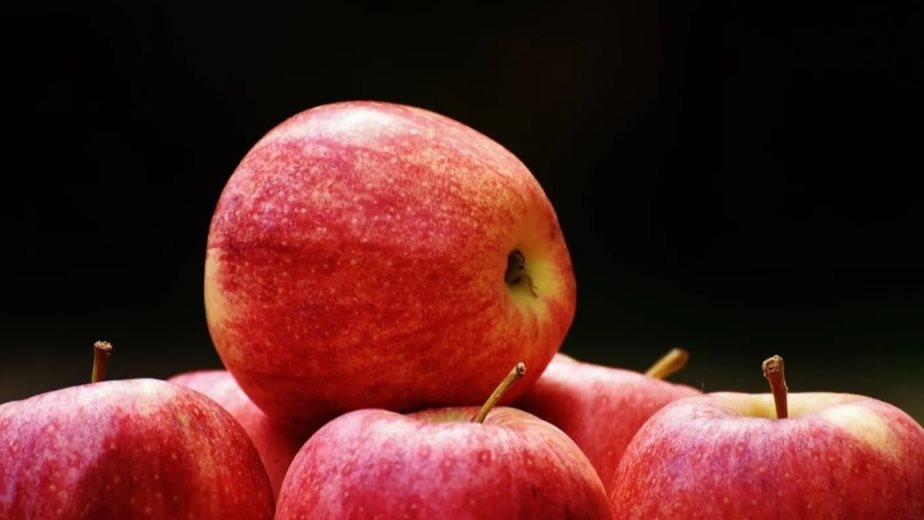 أسعار الفاكهة اليوم