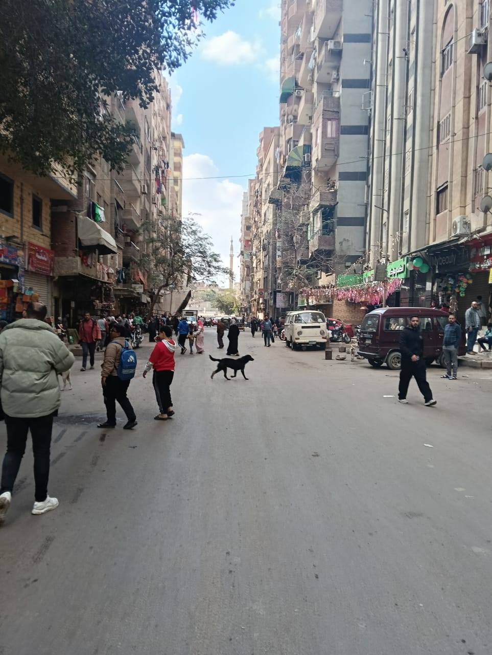 محافظة الجيزة&nbsp;