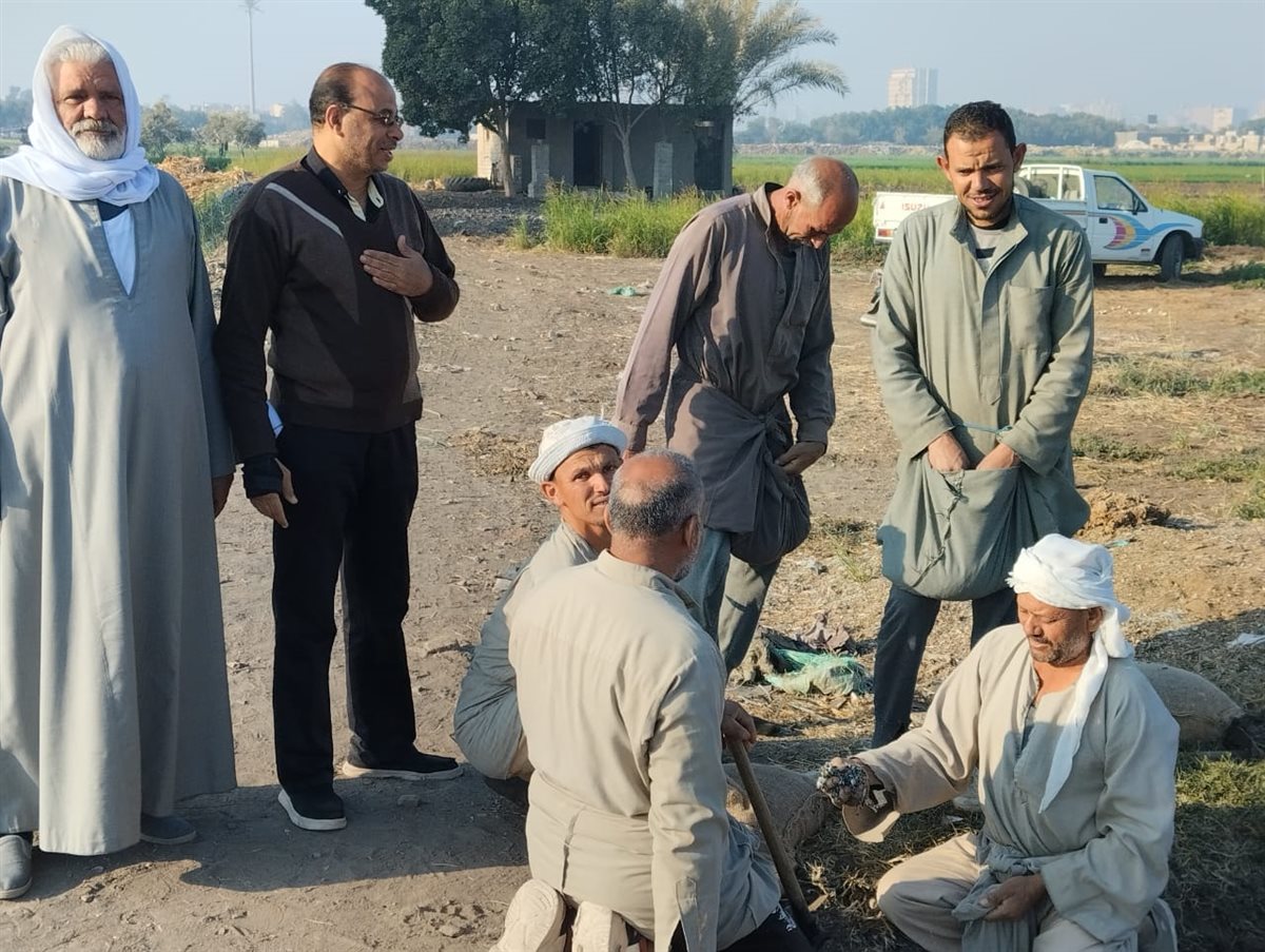 حقل قطن إرشادي بقرية الأعلام مركز الفيوم لتعزيز الإنتاجية ونقل أحدث التوصيات الفنية