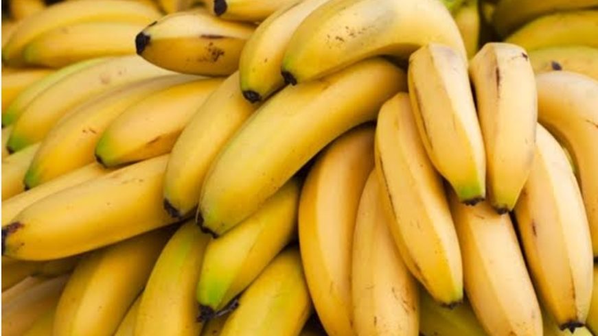أسعار الفاكهة اليوم