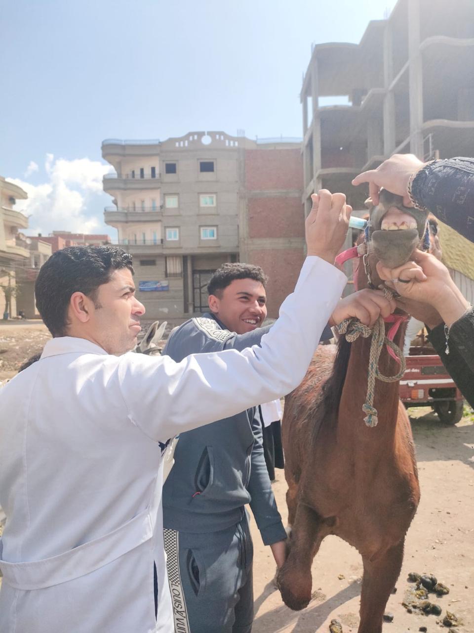 جانب من القوافل الطبية&nbsp;