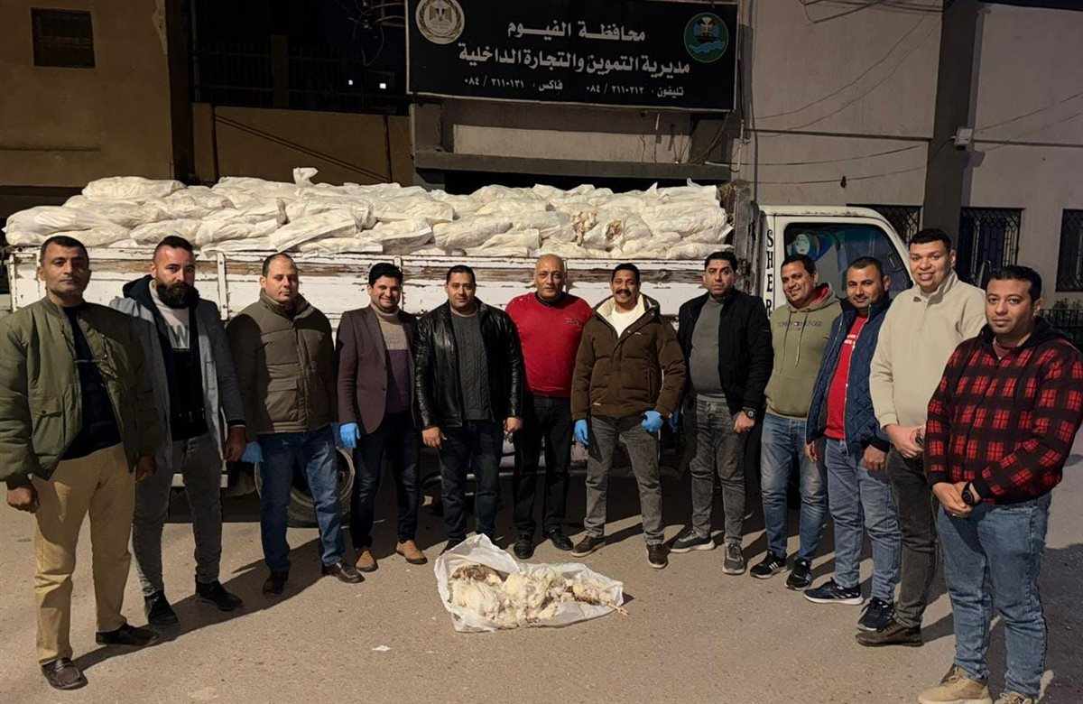 مديرية تموين الفيوم ضبط 10 طن من الفراخ النافقه وغير صالحه للأستهلاك الآدمي&nbsp;