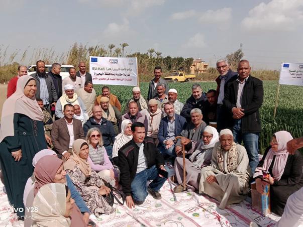 مركز البحوث الزراعية