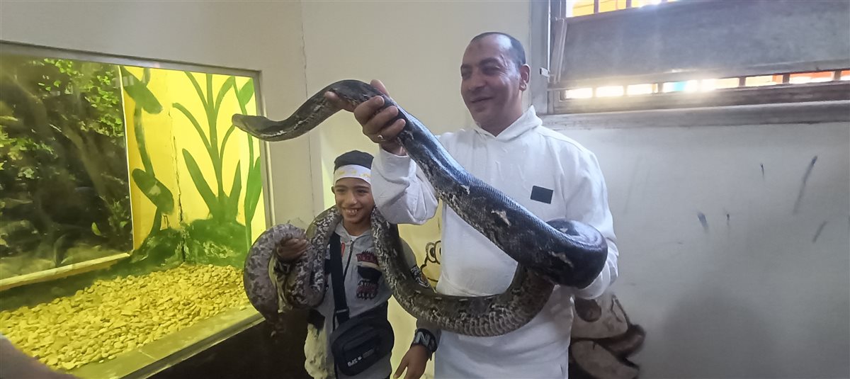بيت الزواحف.. الكبار والأطفال يتصارعوا على التقاط الصور التذكارية مع ثعبان الاناكوندا بحديقة حيوان الفيوم