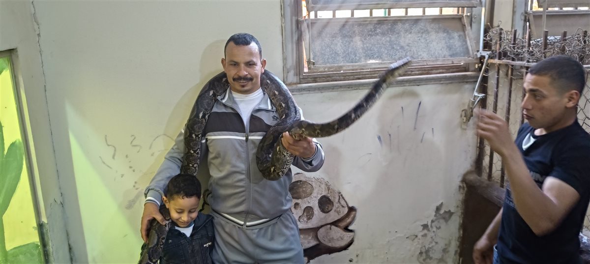 بيت الزواحف.. الكبار والأطفال يتصارعوا على التقاط الصور التذكارية مع ثعبان الاناكوندا بحديقة حيوان الفيوم
