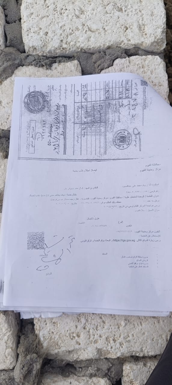 المزرعة مرخصة ومستأجرة لمستثمر سعودى... إزالها باللودر على البط بقرية الناصرية
