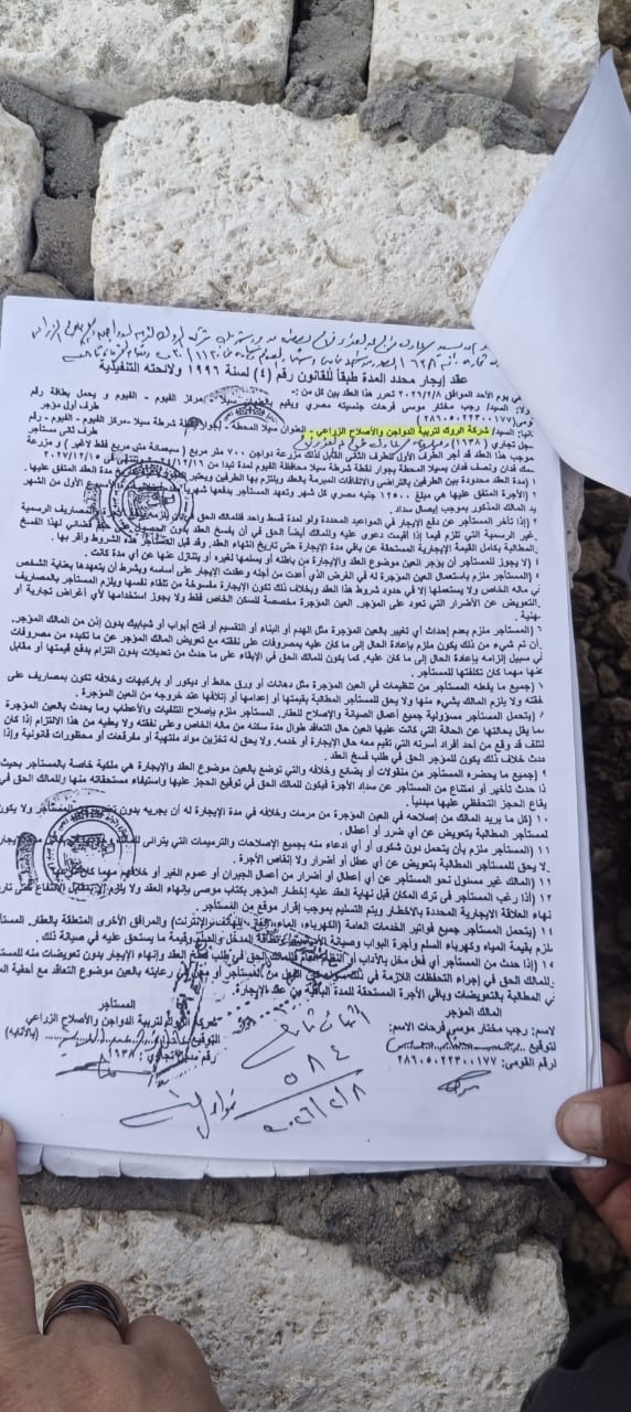 المزرعة مرخصة ومستأجرة لمستثمر سعودى... إزالها باللودر على البط بقرية الناصرية