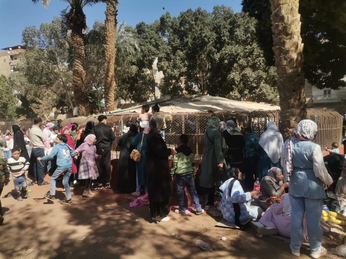 إقبال المواطنين على حدائق الحيوان