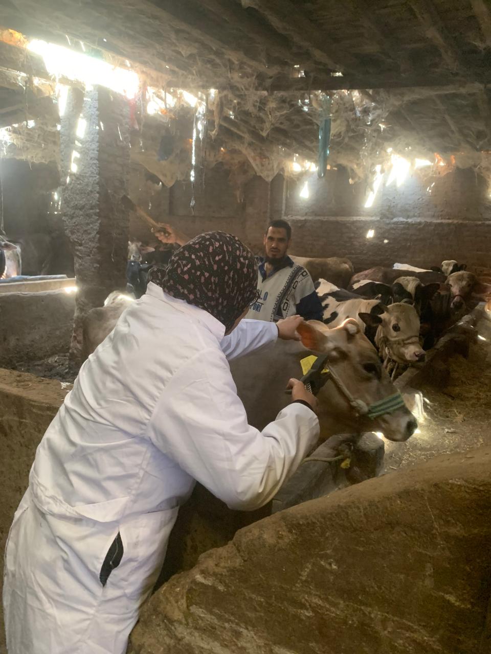 جانب من الحملة القومية للتحصين