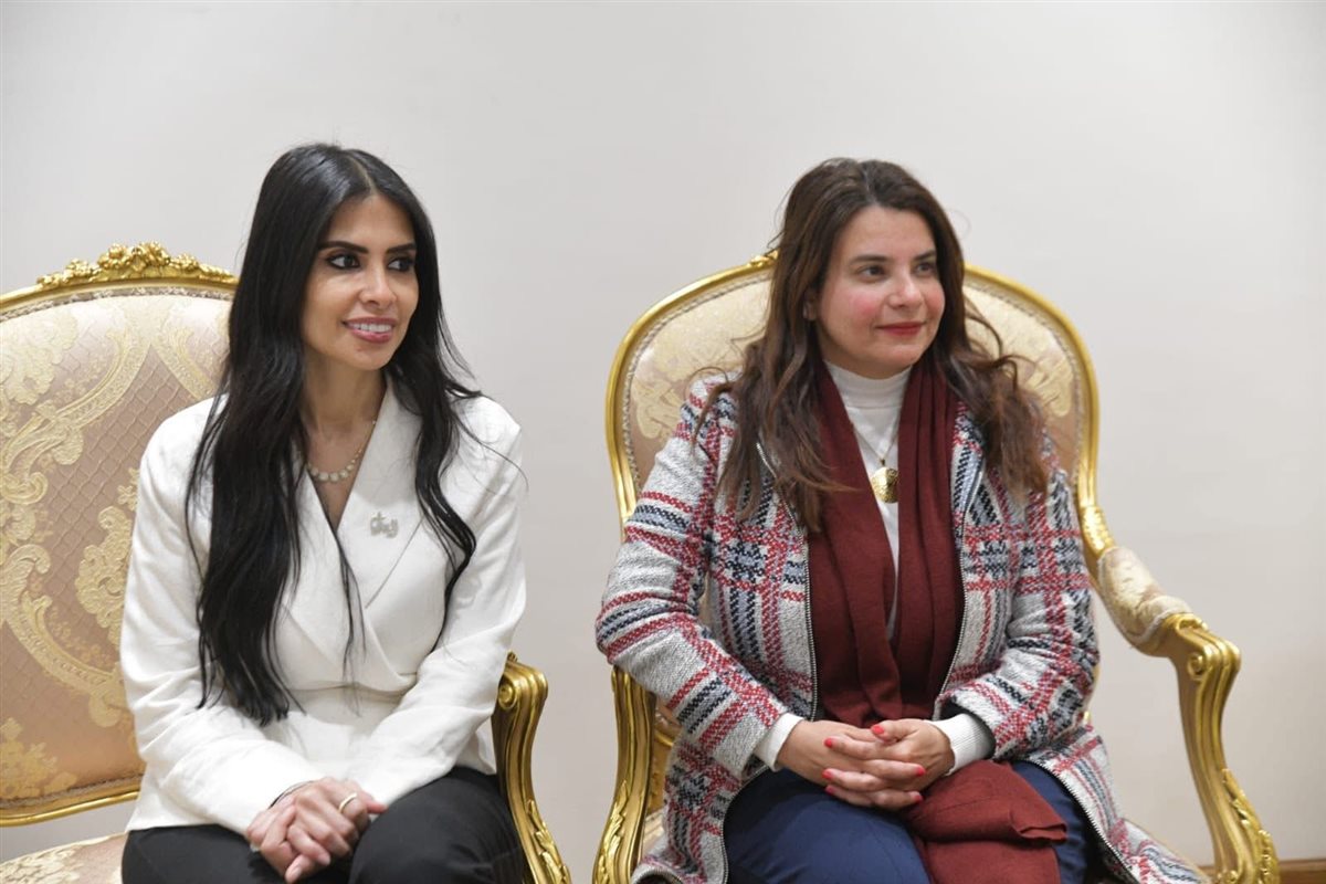 لجنة العلاقات الخارجية بمجلس النواب