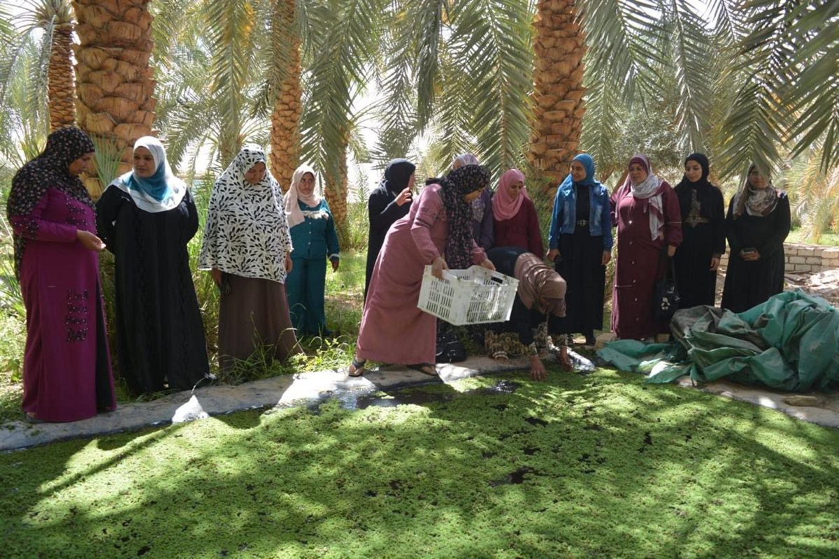 مركز بحوث الصحراء