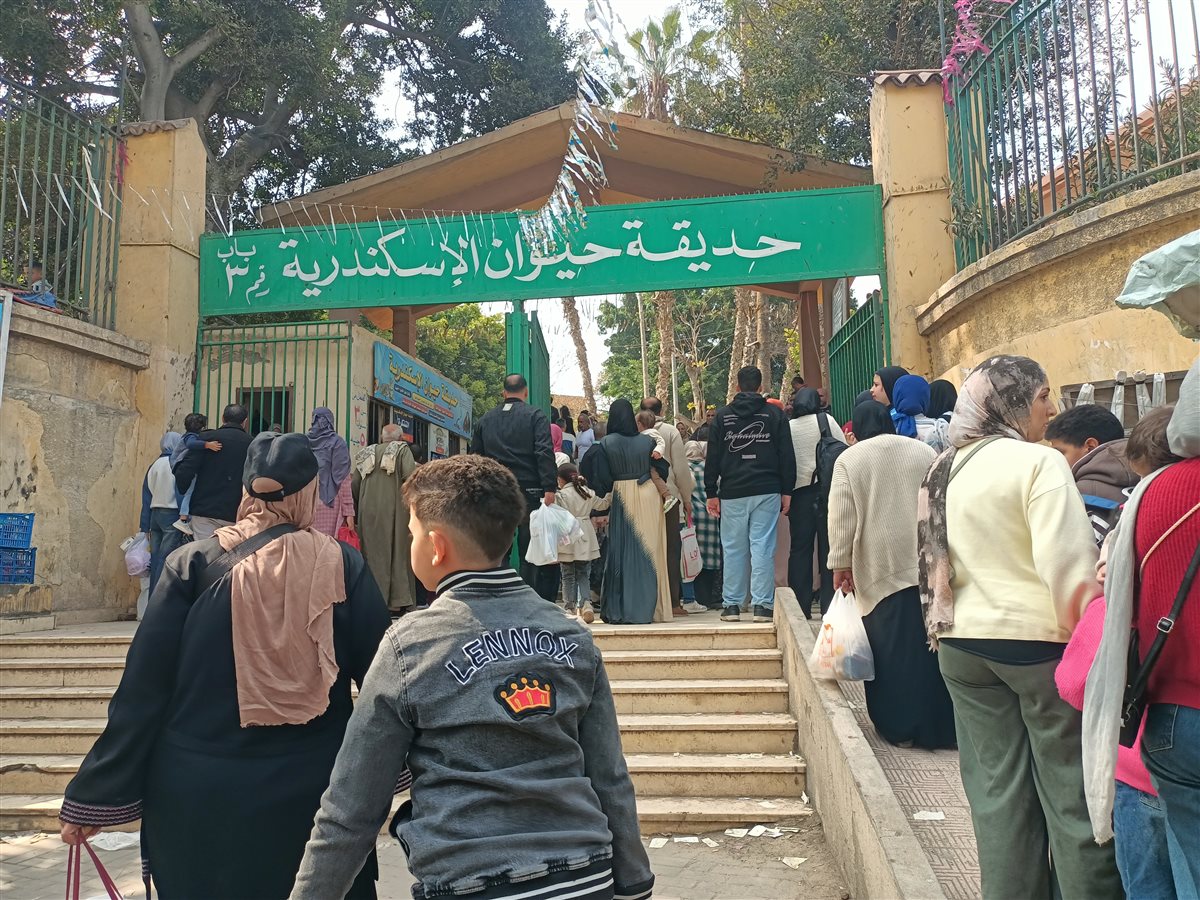 جانب من الحديقة&nbsp;
