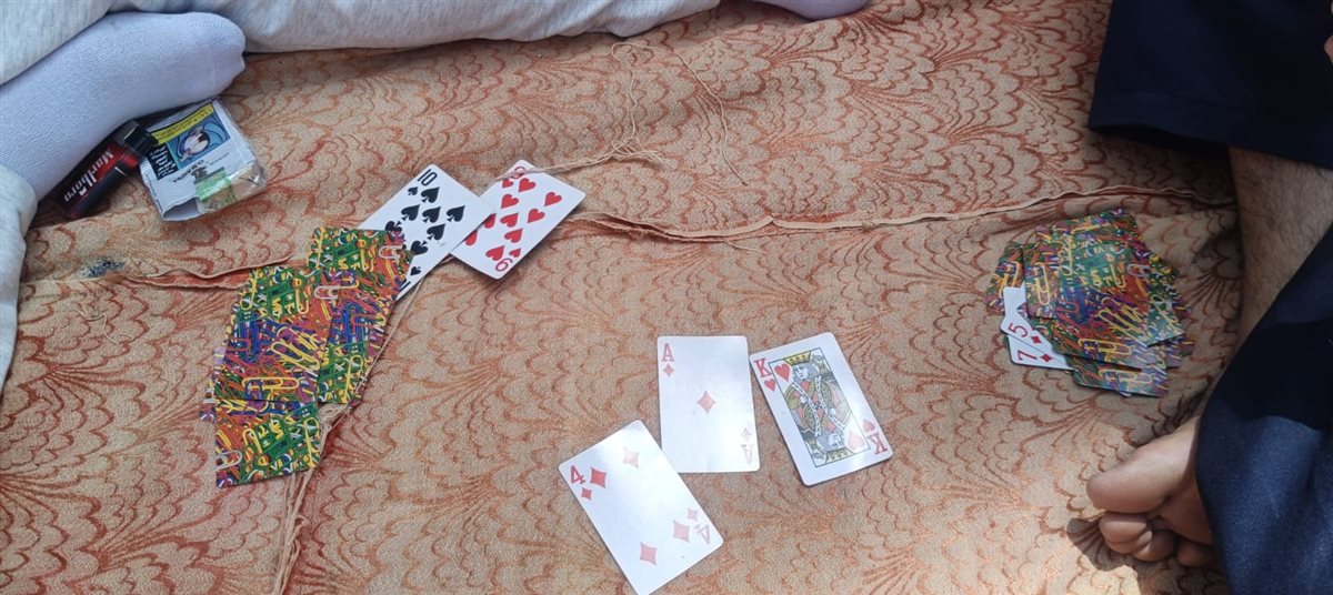 بيلعبوا كوتشينة على الأرض بحديقة حيوان الفيوم.. شم النسيم حاجة تانية