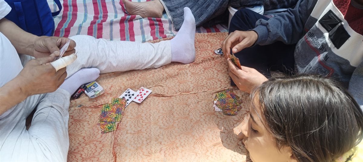بيلعبوا كوتشينة على الأرض بحديقة حيوان الفيوم.. شم النسيم حاجة تانية