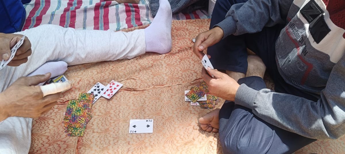 بيلعبوا كوتشينة على الأرض بحديقة حيوان الفيوم.. شم النسيم حاجة تانية