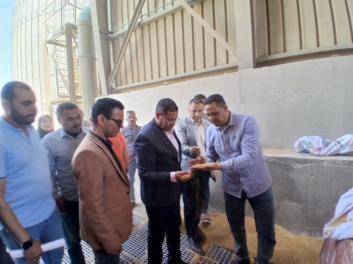 السكرتير المساعد للفيوم يتابع أعمال توريد محصول القمح بصومعة طامية