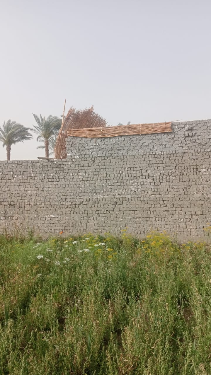 إزالة فورية لتعدٍ على الأرض الزراعية بزاوية الكرادسة.. واستبعاد مدير الجمعية وإحالته للتحقيق