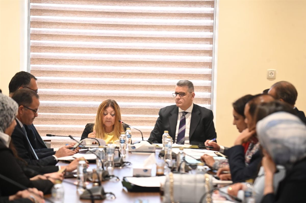 لجنة حقوق الإنسان بمجلس النواب
